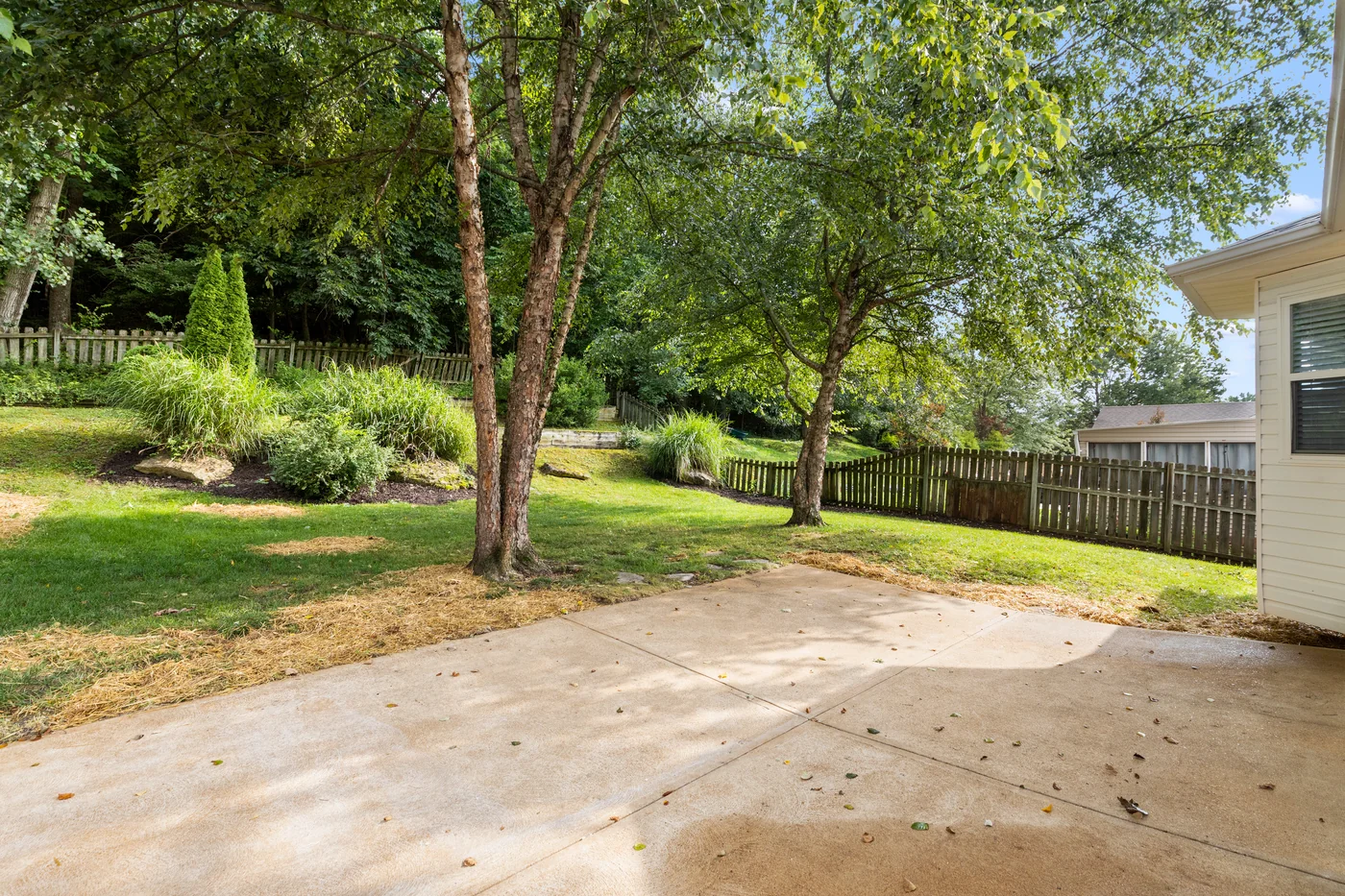 Backyard patio and trees
