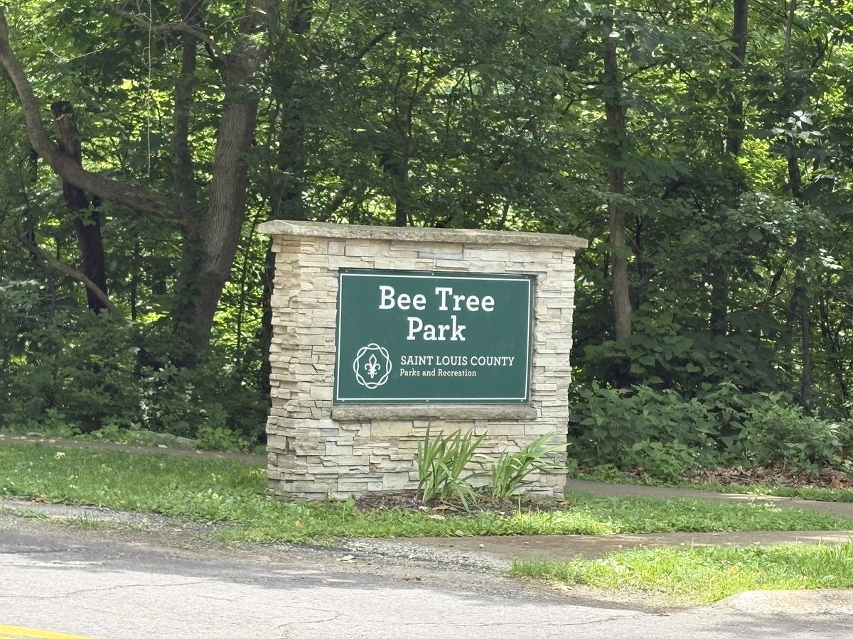 Bee Tree Park trail Oakville MO — wooded hiking path through mature forest, the outdoor recreation access that distinguishes Oakville from comparable South County neighborhoods