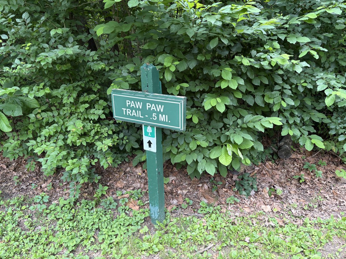 Paw Paw Trail sign at Bee Tree Park Oakville St. Louis — 0.5 mile forested trail, Saint Louis County Parks, the kind of neighborhood outdoor access Oakville buyers consistently mention